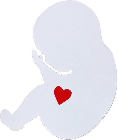 babyicon