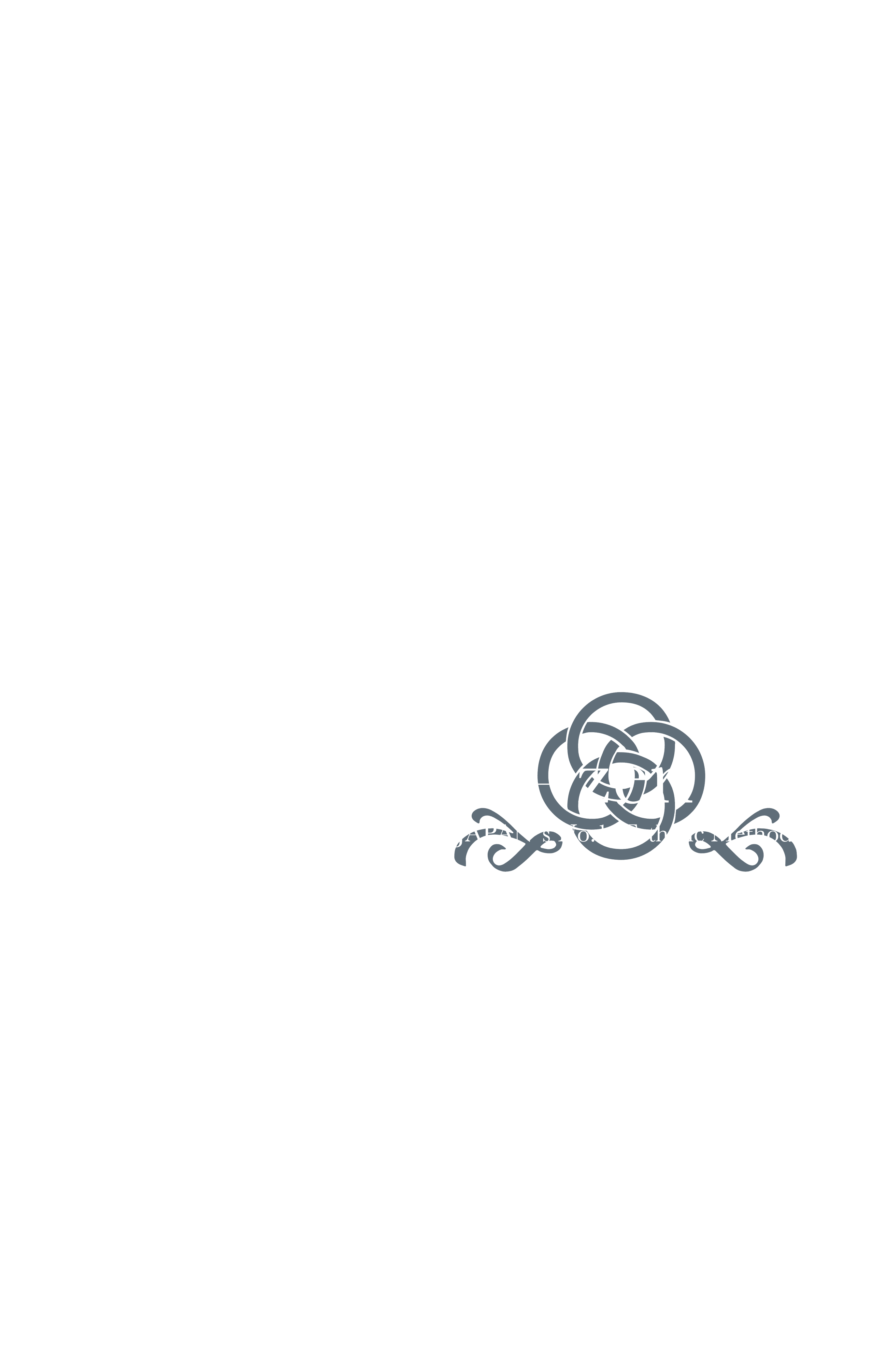 vizendo_logo